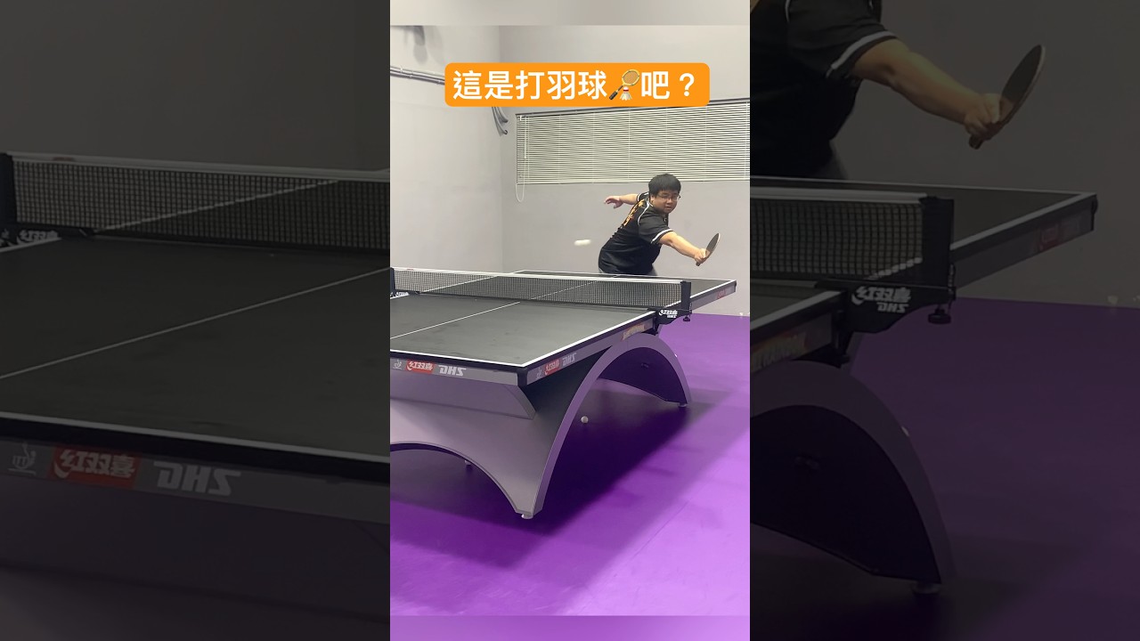 每一个人