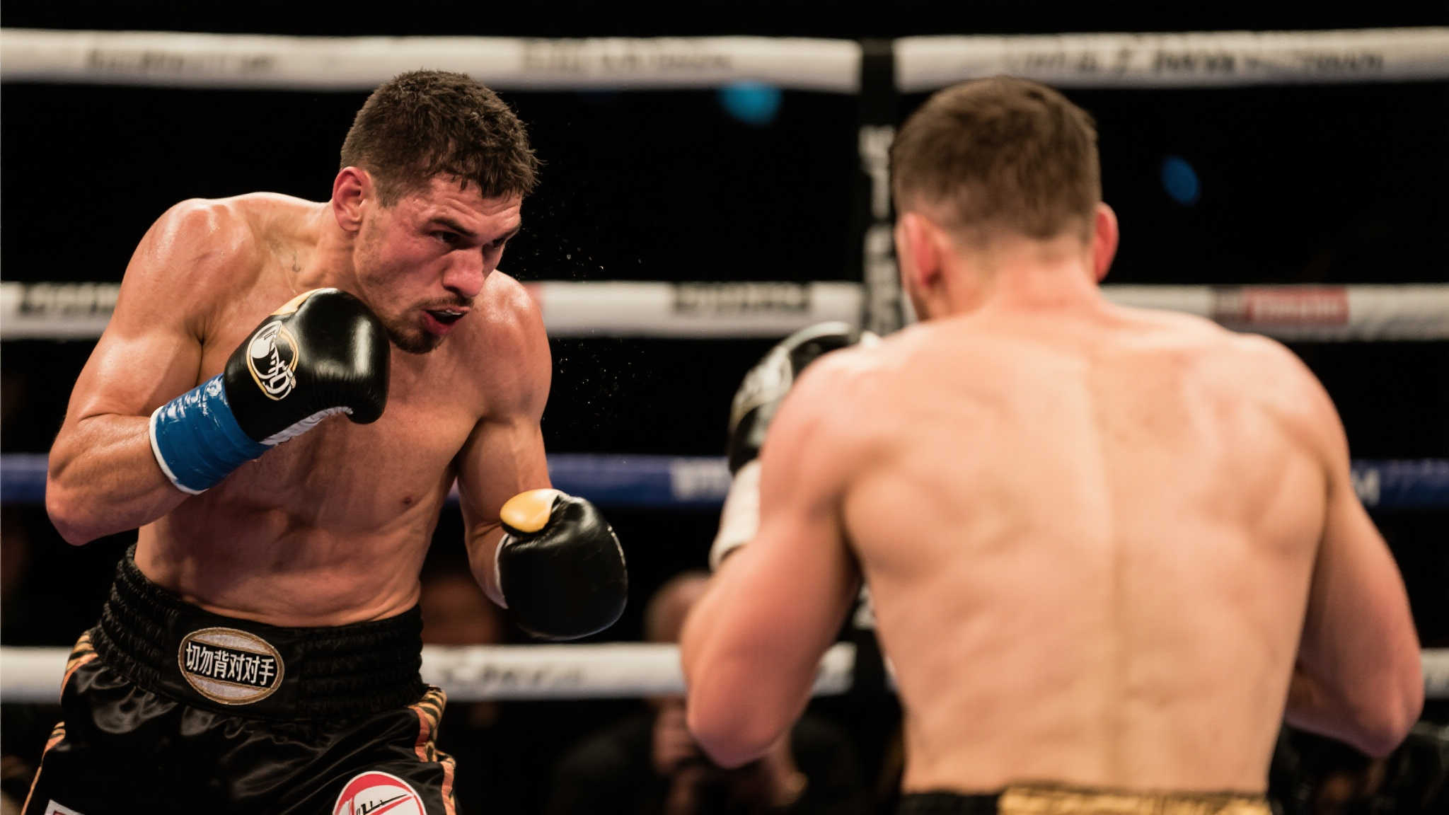 在理性和情 在理性和情